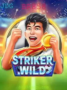 Descubra o Empolgante Mundo de StrikerWILD