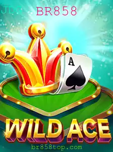 Descubra o Mundo Empolgante de WildAce: O Novo Jogo de Estratégia